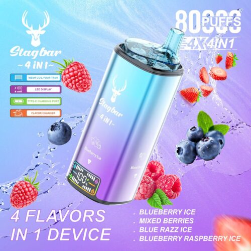 WhatsApp Image 2025-11-27 at 10.02.53 (2) Stagbar 4 in 1 de 80.000 caladas (Blueberry ice)
